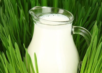 теплообменники в молочной промышленности