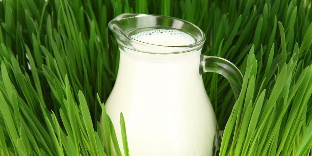 теплообменники в молочной промышленности