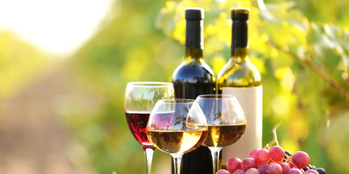 теплообменники в винодельной промышленности